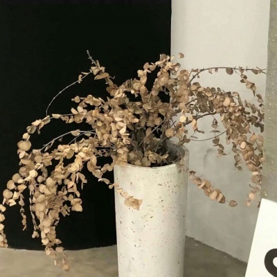 Furry角色动作绘画技巧FurryQQ群